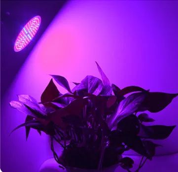 Phyto Lamp Full Spectrum LED Grow Light Fitolamp For Indoor Seedlings Flowers  Vegetables Hydroponi 3