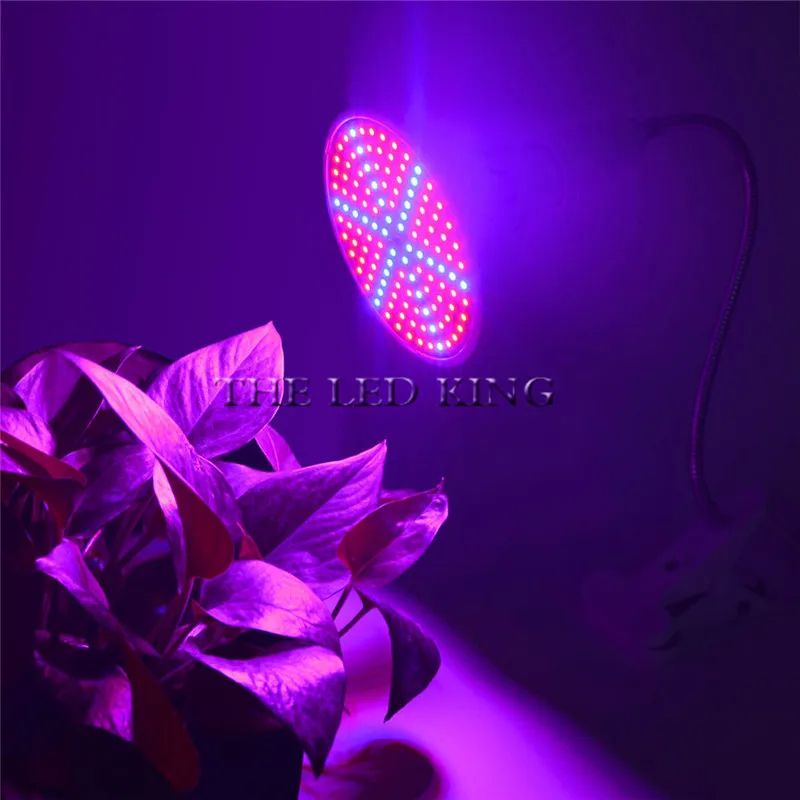 Phyto Lamp Full Spectrum LED Grow Light Fitolamp For Indoor Seedlings Flowers  Vegetables Hydroponi 4