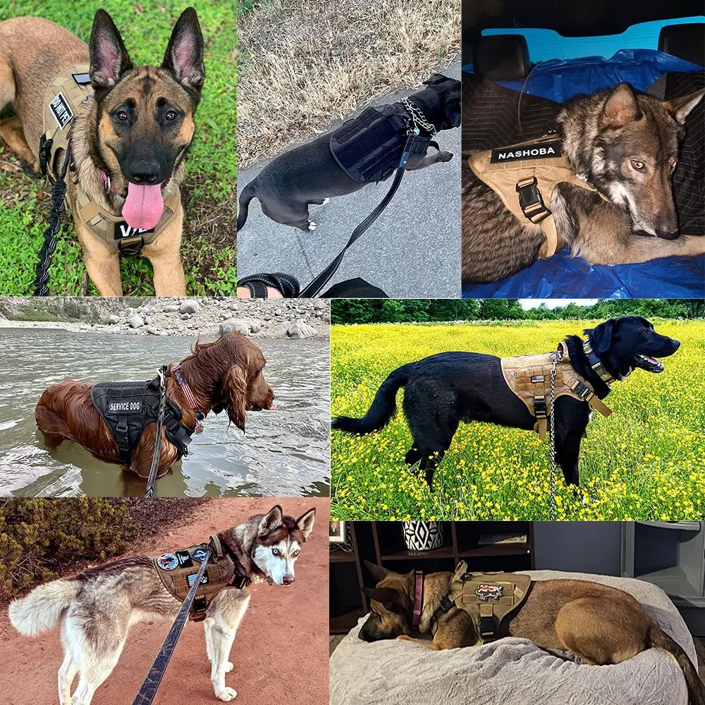 Pet German Shepherd Malinois Training Vest, Adjustable Dog Harness and Leash Set with Collar for Medium & Large Breed
