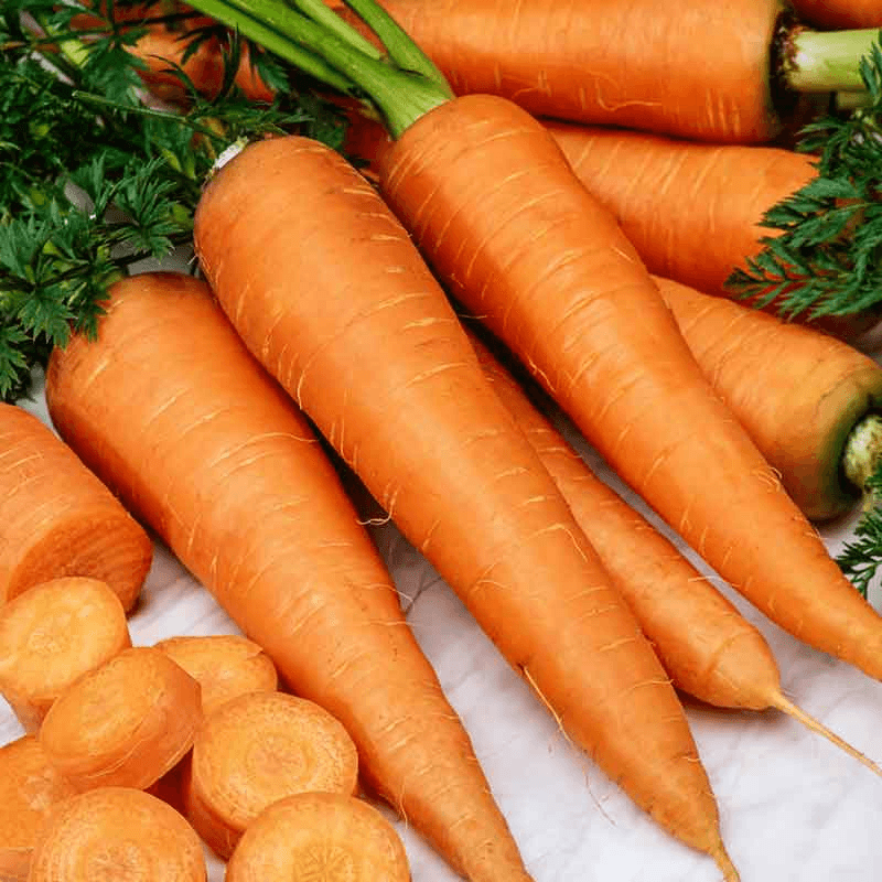 Danvers 126 Carrot Seeds NonGMO Heirloom Vegetable Seeds For Garden Planting 1
