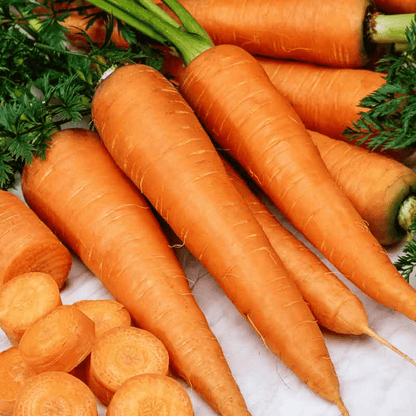 Danvers 126 Carrot Seeds NonGMO Heirloom Vegetable Seeds For Garden Planting 1