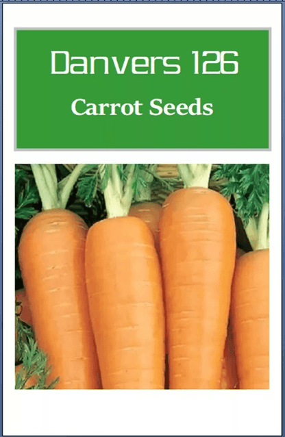 Danvers 126 Carrot Seeds, Non-GMO Heirloom Vegetable Seeds for Garden Planting