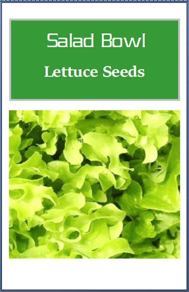 Non-GMO Salad Bowl Green Lettuce Seeds, Fresh Heirloom Lettuce for Home Gardens