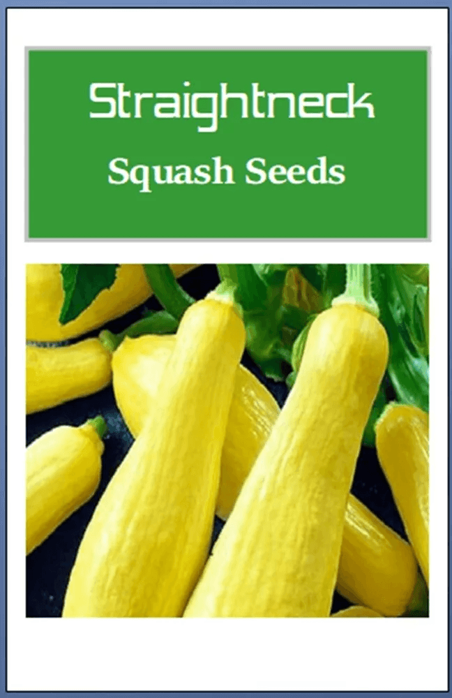 Straightneck Squash Seeds, Non-GMO Heirloom Fresh Garden Seeds for Home Gardening