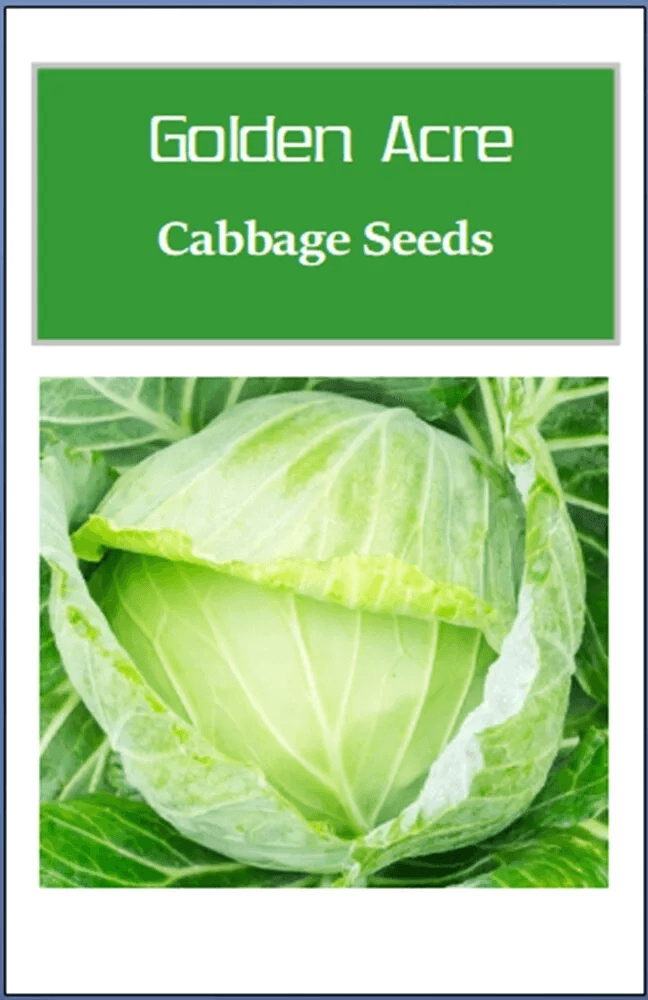 Golden Acre Cabbage Seeds, Non-GMO Heirloom Fresh Garden Seeds for All Seasons