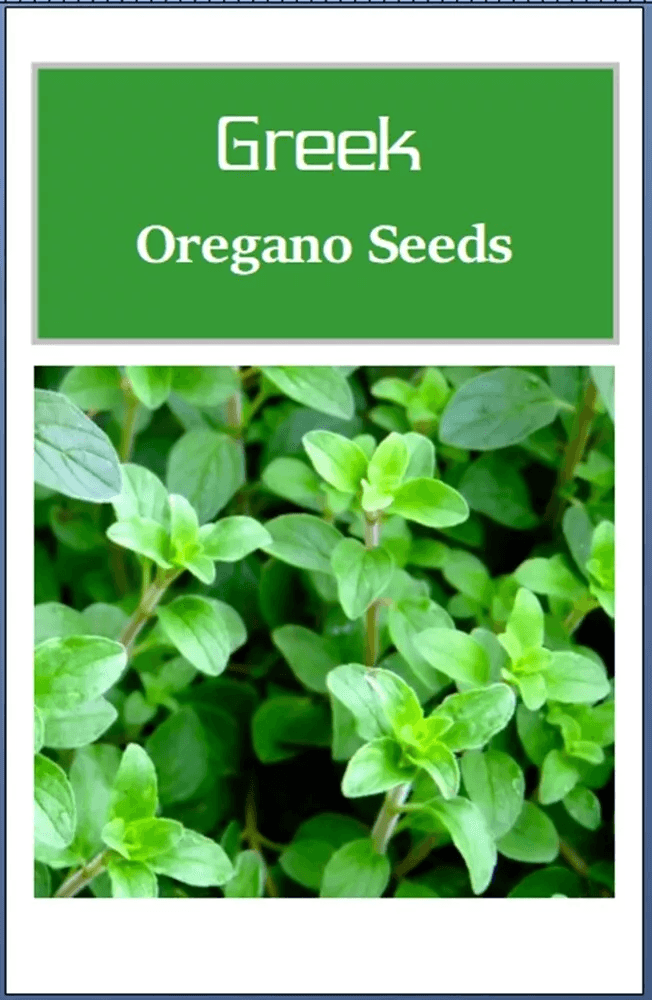 Greek Oregano Seeds, Non-GMO Heirloom Herb Seeds for Garden