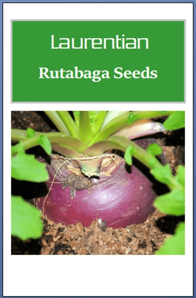 Laurentian Rutabaga Seeds, Non-GMO Heirloom Garden Seeds for Healthy, Homegrown Crops