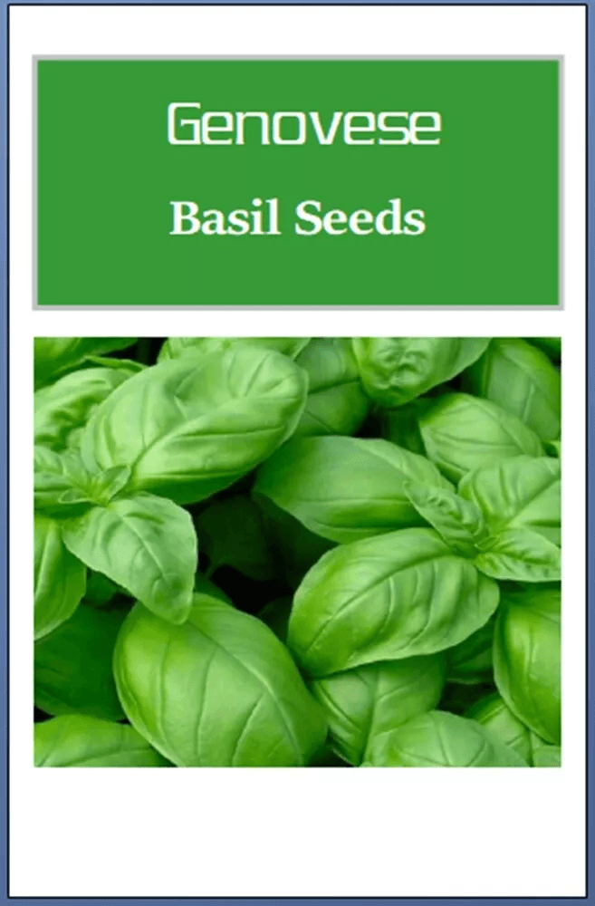 Genovese Basil Seeds, Non-GMO Heirloom Seeds for Culinary Gardens