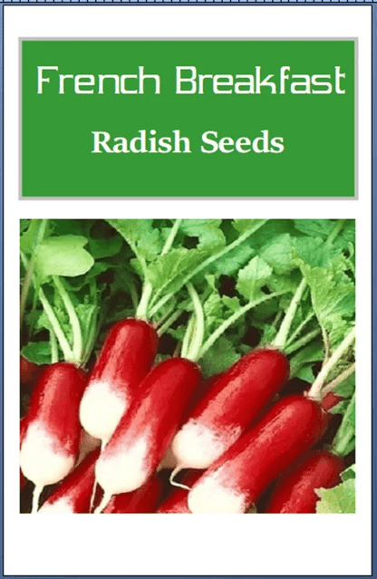 French Breakfast Radish Seeds, Non-GMO Heirloom Garden Seeds for Quick Growth