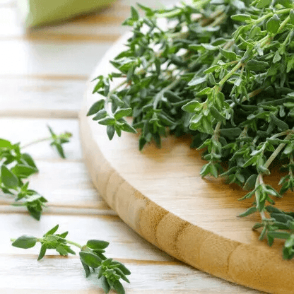 Heirloom Thyme Seeds, Non-GMO, Open Pollinated Herb Seeds for Gardening & Cooking