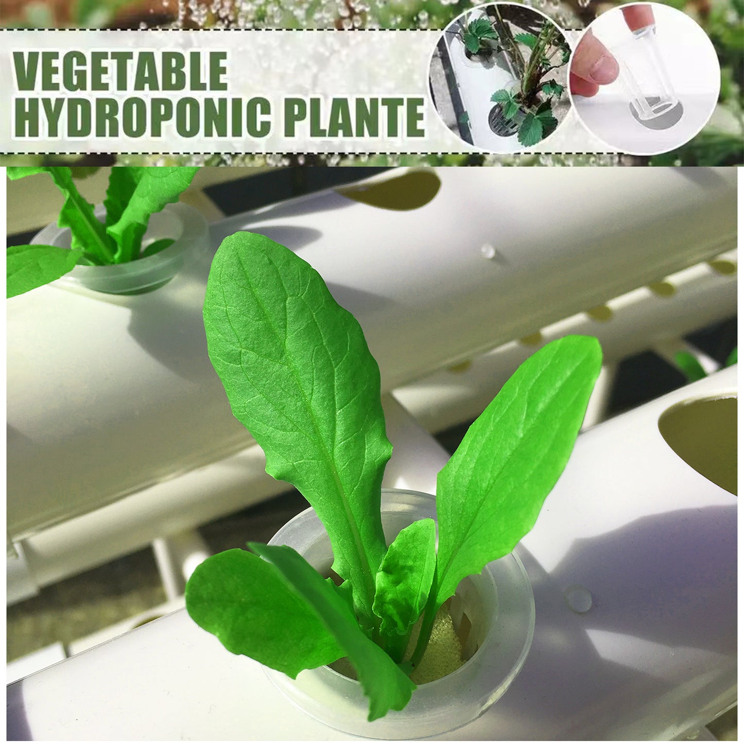 Hydroponics Garden Kit 3 Tier 108 Planting Sites Indoor Outdoor Herb  Veggie Growing System Fast Gr 4