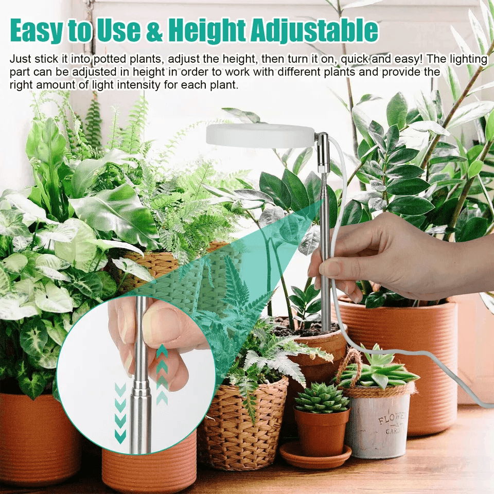 LED Grow Light For Indoor Plants Full Spectrum Plant Growing Lamp With Dimmable Halo Light For Herb 5
