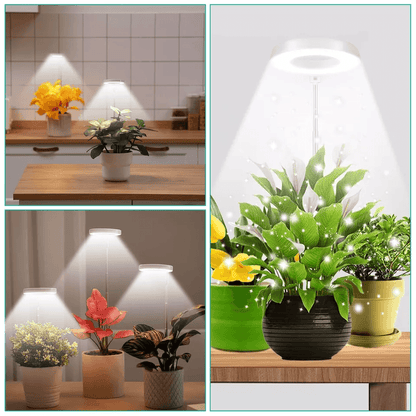 LED Grow Light For Indoor Plants Full Spectrum Plant Growing Lamp With Dimmable Halo Light For Herb 4