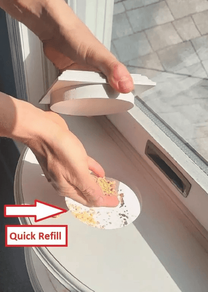 Clear View Window Bird Feeder 180 Indoor Viewing Easy Refill Durable PVC Design 6