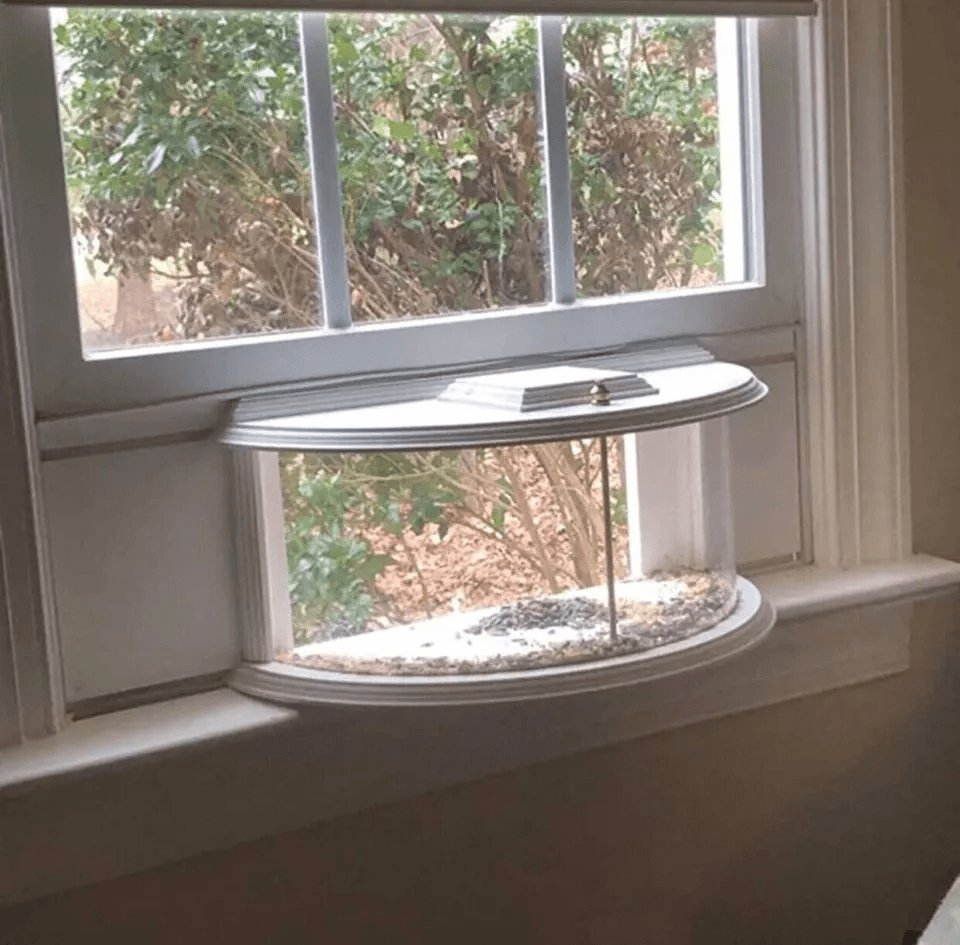 Clear View Window Bird Feeder 180 Indoor Viewing Easy Refill Durable PVC Design 2