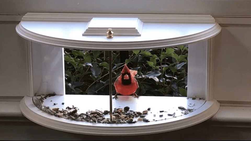 Clear View Window Bird Feeder 180 Indoor Viewing Easy Refill Durable PVC Design 1