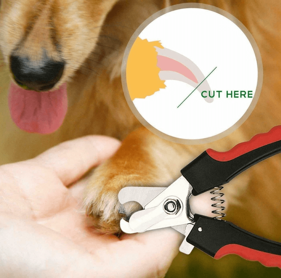 Dog Nail Clippers Cutting Scissors Claw For Small  Large Breeds Professional Pet Grooming Tool 3