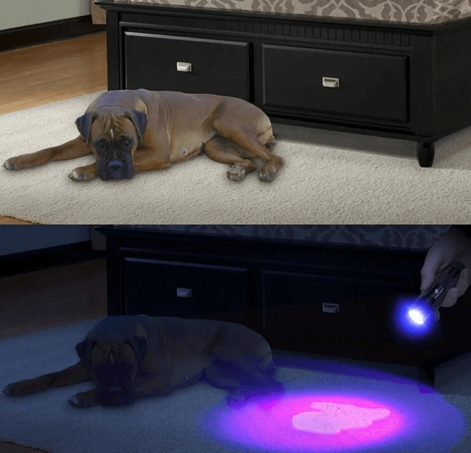 Shustar UV Tracker 51 LED Flashlight Blacklight UV Ultra Violet Light For Inspection  Hunting 2