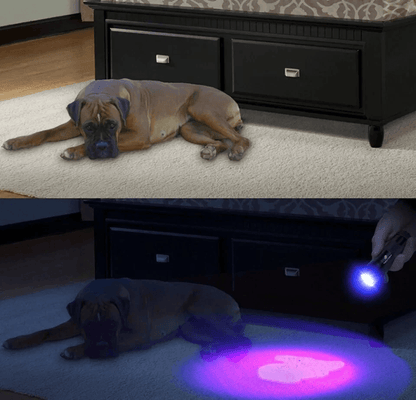 Shustar UV Tracker 51 LED Flashlight Blacklight UV Ultra Violet Light For Inspection  Hunting 2