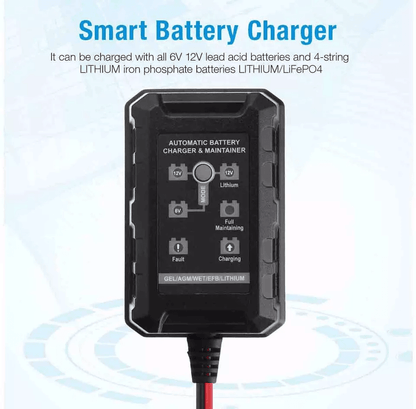 Lithium Iron Phosphate Battery Charger Series LiFePO4 Smart Maintainer For Lead Acid AGM GEL EFB St 2