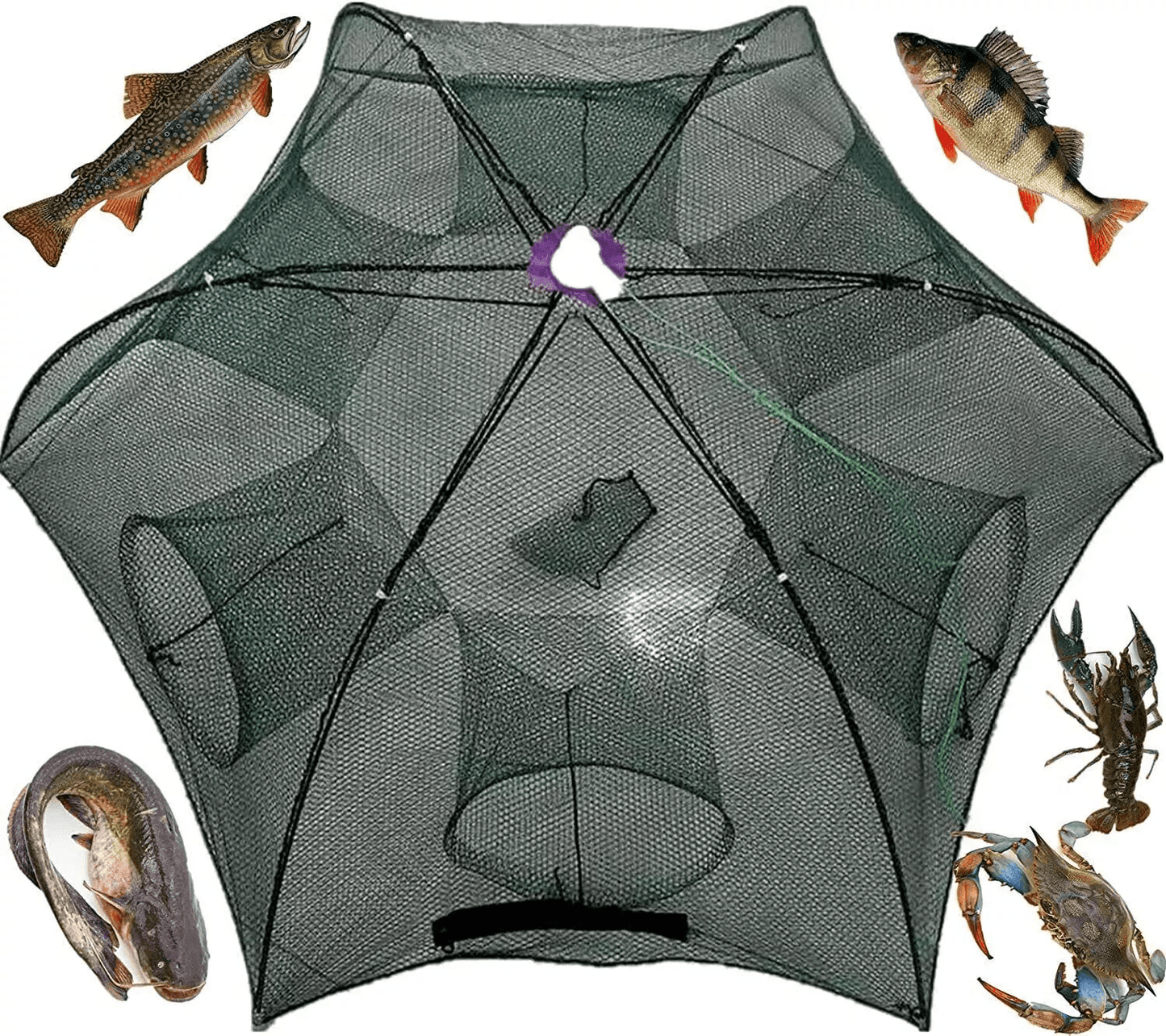 Foldable Fishing Bait Trap Net For Crab Crawdad Shrimp Fish Minnow  Portable Cast Dip Cage Easy To  1