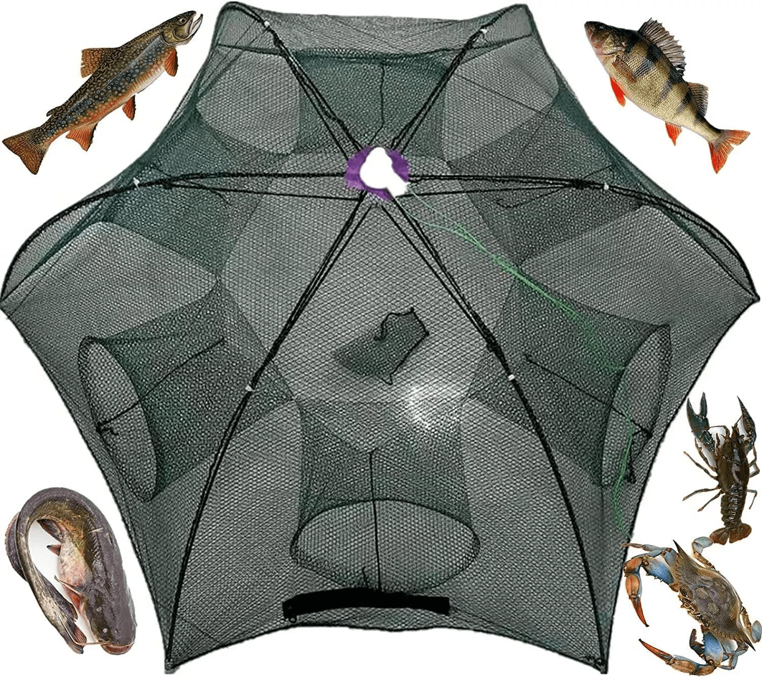 Foldable Fishing Bait Trap Net For Crab Crawdad Shrimp Fish Minnow  Portable Cast Dip Cage Easy To  1