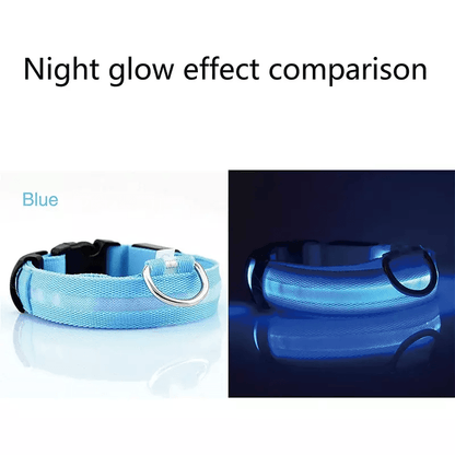 LED Adjustable Dog Collar  Blinking Flashing LightUp GlowintheDark Waterproof Safety Collar For Pet 1
