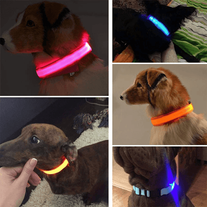LED Adjustable Dog Collar  Blinking Flashing LightUp GlowintheDark Waterproof Safety Collar For Pet 2