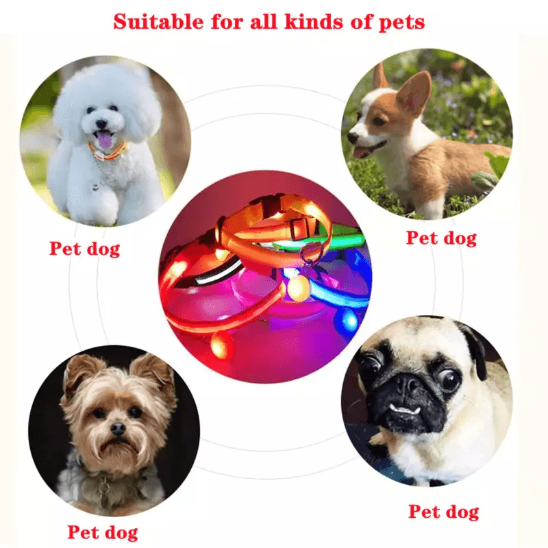 LED Adjustable Dog Collar  Blinking Flashing LightUp GlowintheDark Waterproof Safety Collar For Pet 10