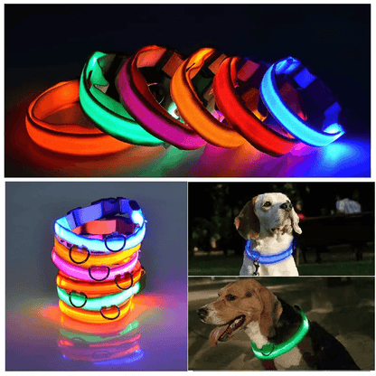 LED Adjustable Dog Collar  Blinking Flashing LightUp GlowintheDark Waterproof Safety Collar For Pet 12