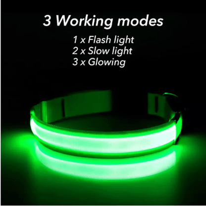 LED Adjustable Dog Collar  Blinking Flashing LightUp GlowintheDark Waterproof Safety Collar For Pet 15