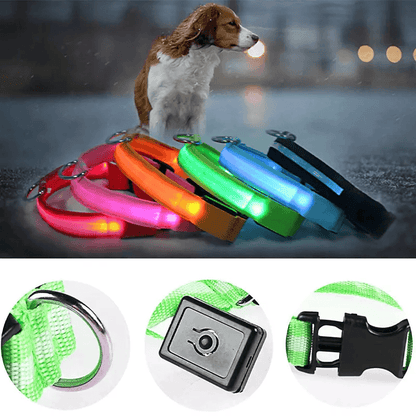 LED Adjustable Dog Collar  Blinking Flashing LightUp GlowintheDark Waterproof Safety Collar For Pet 16