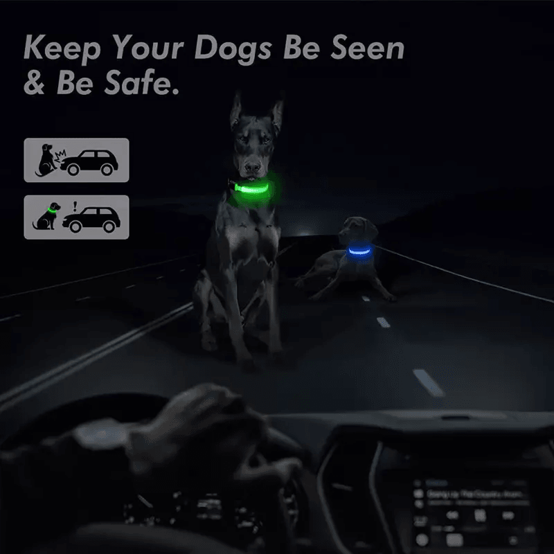 LED Adjustable Dog Collar  Blinking Flashing LightUp GlowintheDark Waterproof Safety Collar For Pet 17