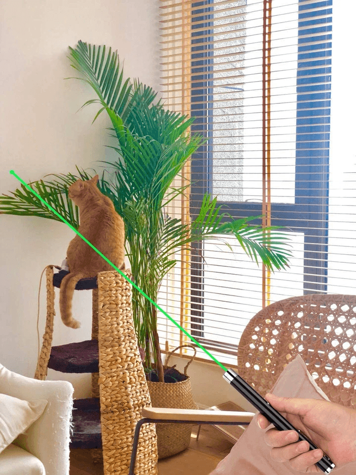 Laser Pointer Pen Green Blue Red Light Visible Beam Lazer Battery Powered Metal Pen For Cat Toys  O 2