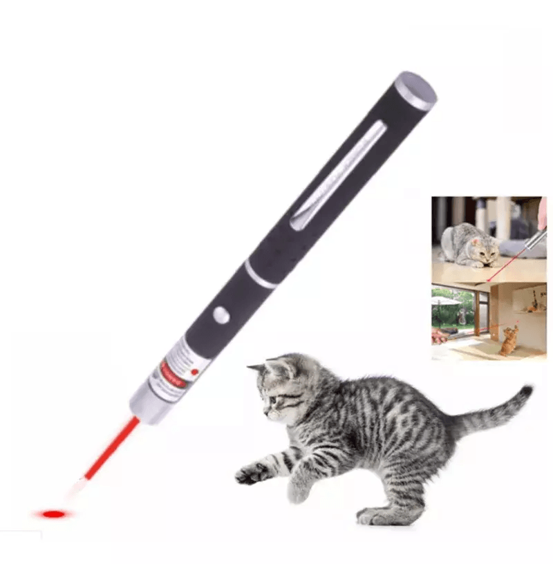 Laser Pointer Pen Green Blue Red Light Visible Beam Lazer Battery Powered Metal Pen For Cat Toys  O 4