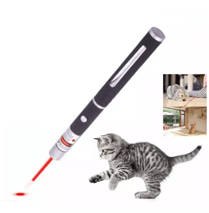 Laser Pointer Pen Green Blue Red Light Visible Beam Lazer Battery Powered Metal Pen For Cat Toys  O 4