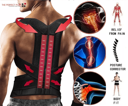 Adjustable Posture Corrector Low Back Support Shoulder Brace Belt for Men Women, Pain Relief Lumbar Support