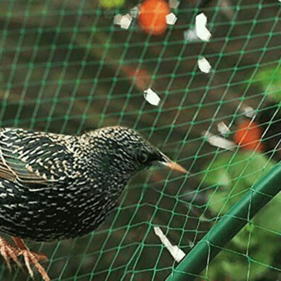 Anti Bird Netting For Garden Pond Tree Fruit Crop Plant Mesh Protection 5