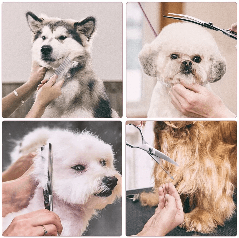Professional Pet Grooming Scissors Kit Stainless Steel Curved Thinning  Straight Shears For Dogs  C 4