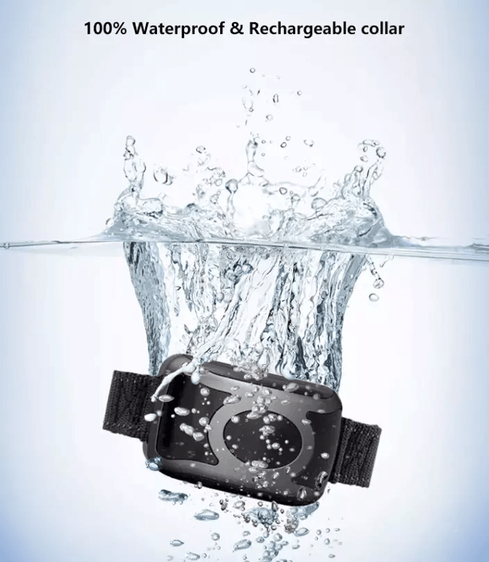 650 YD Remote Dog Training Shock Collar Waterproof Rechargeable Humane BeepVibrationStatic Modes Fi 6