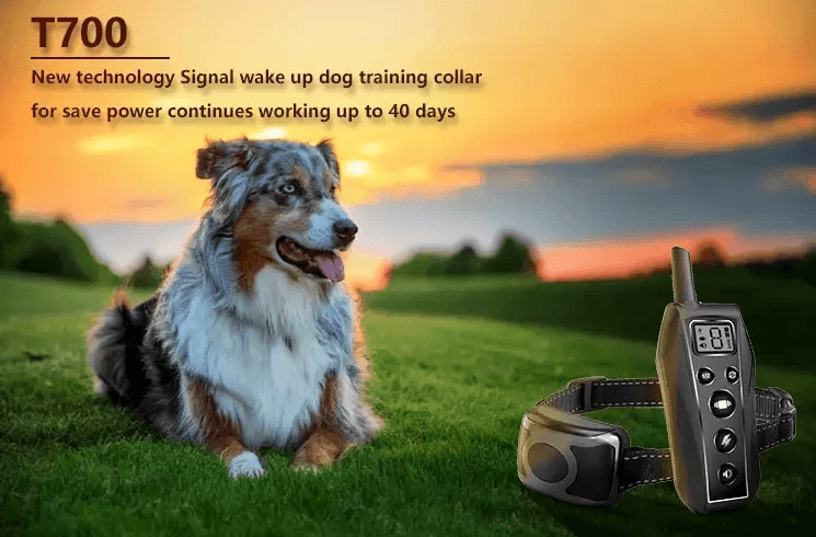 650 YD Remote Dog Training Shock Collar Waterproof Rechargeable Humane BeepVibrationStatic Modes Fi 1