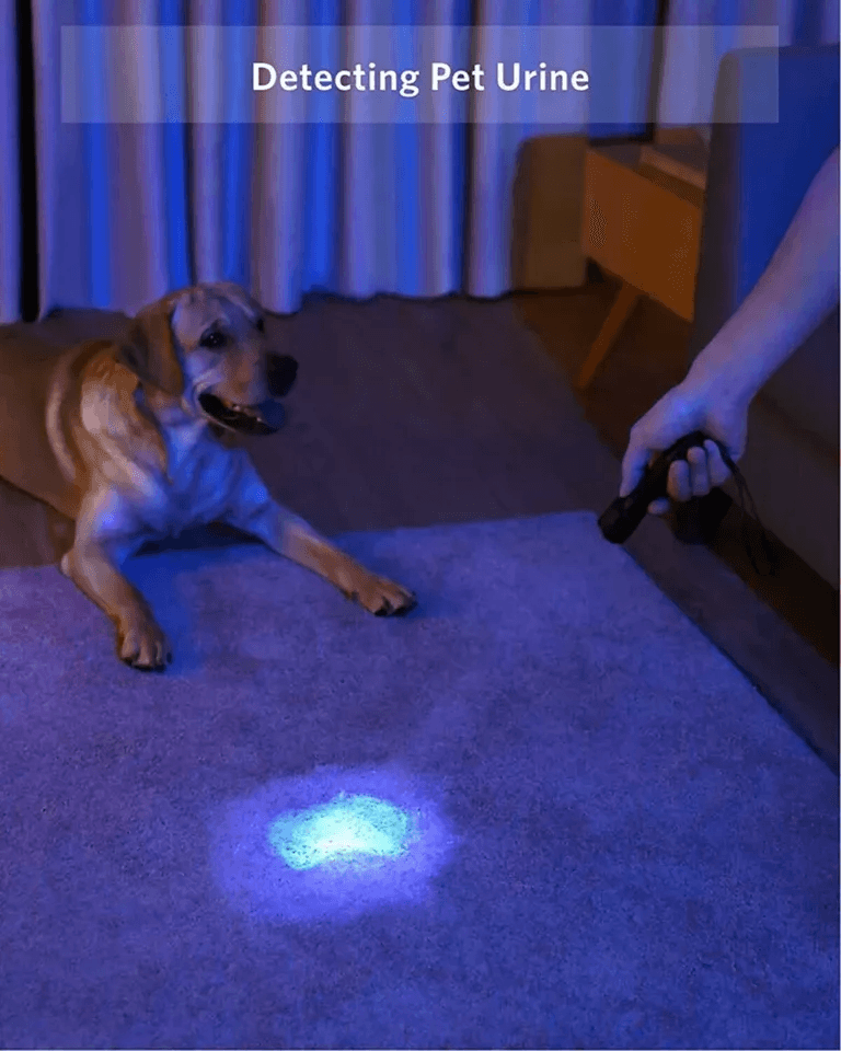Portable UV Ultra Violet LED Inspection Lamp 9 LED Blacklight Torch For Fluorescent Ink Pet Stains  3