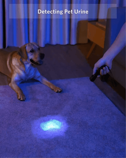 Portable UV Ultra Violet LED Inspection Lamp 9 LED Blacklight Torch For Fluorescent Ink Pet Stains  3