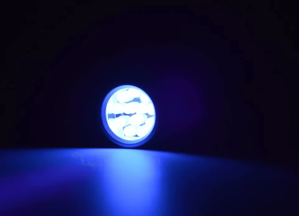 Portable UV Ultra Violet LED Inspection Lamp 9 LED Blacklight Torch For Fluorescent Ink Pet Stains  5