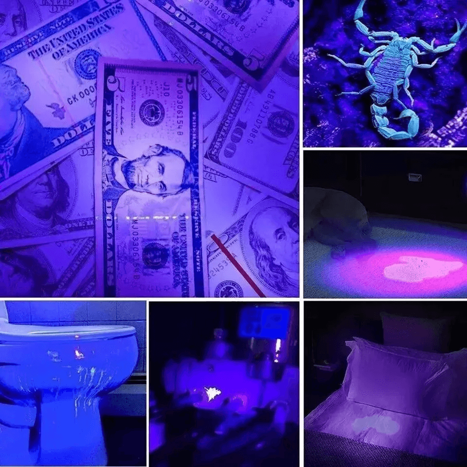 Portable UV Ultra Violet LED Inspection Lamp 9 LED Blacklight Torch For Fluorescent Ink Pet Stains  1