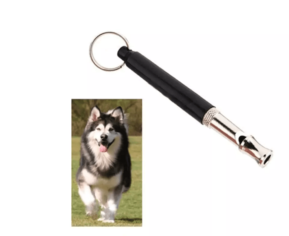 Ultrasonic Dog Training Whistle To Stop Barking Obedience  Recall Sound Tool For Pets Adjustable Pi 1