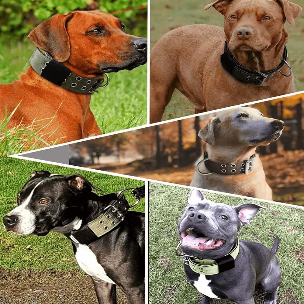 Wide Tactical Heavy Duty Nylon Large Dog Collar Military Style with Metal Buckle for Big Dogs Neoprene Padded Adjustable