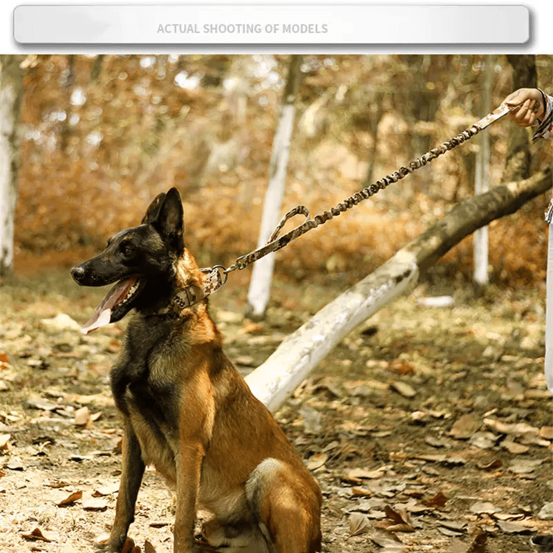 Wide Tactical Heavy Duty Nylon Large Dog Collar Military Style With Metal Buckle For Big Dogs Neopr 2