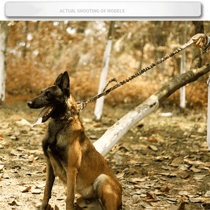 Wide Tactical Heavy Duty Nylon Large Dog Collar Military Style With Metal Buckle For Big Dogs Neopr 2