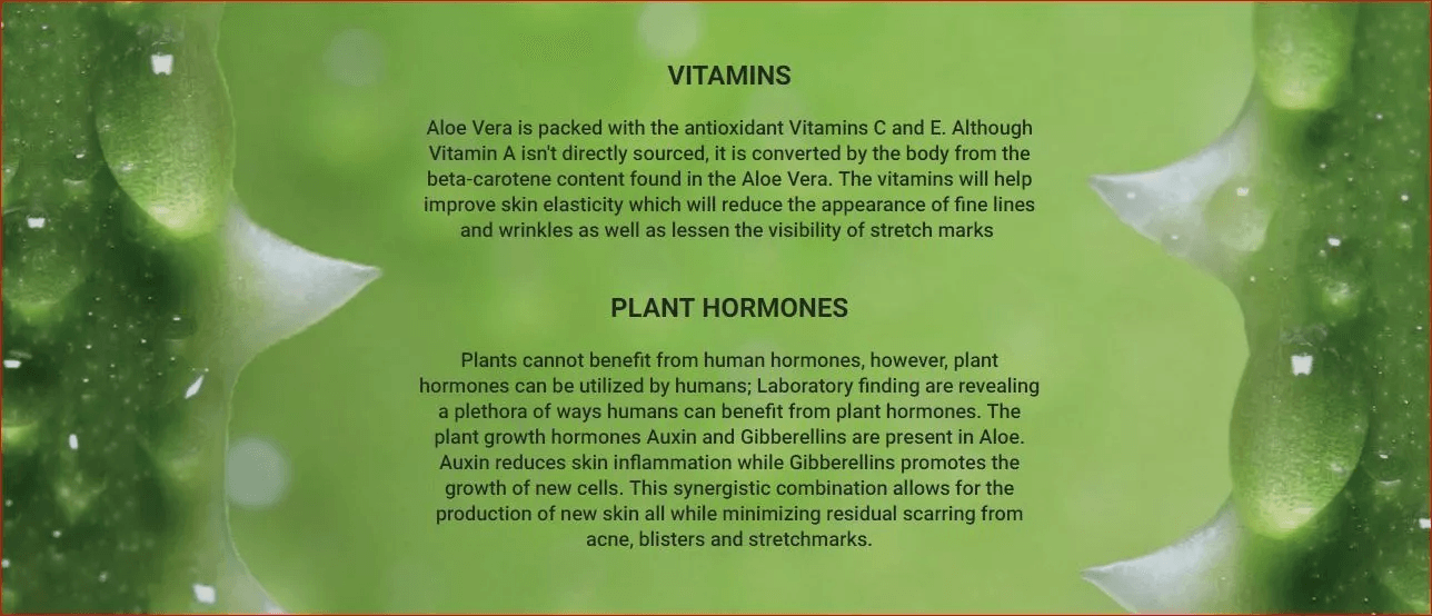 Pure Organic Aloe Vera Thick Gel Microdermabrasion Cream Soothing AntiAging Moisturizer For Acne Sc 3